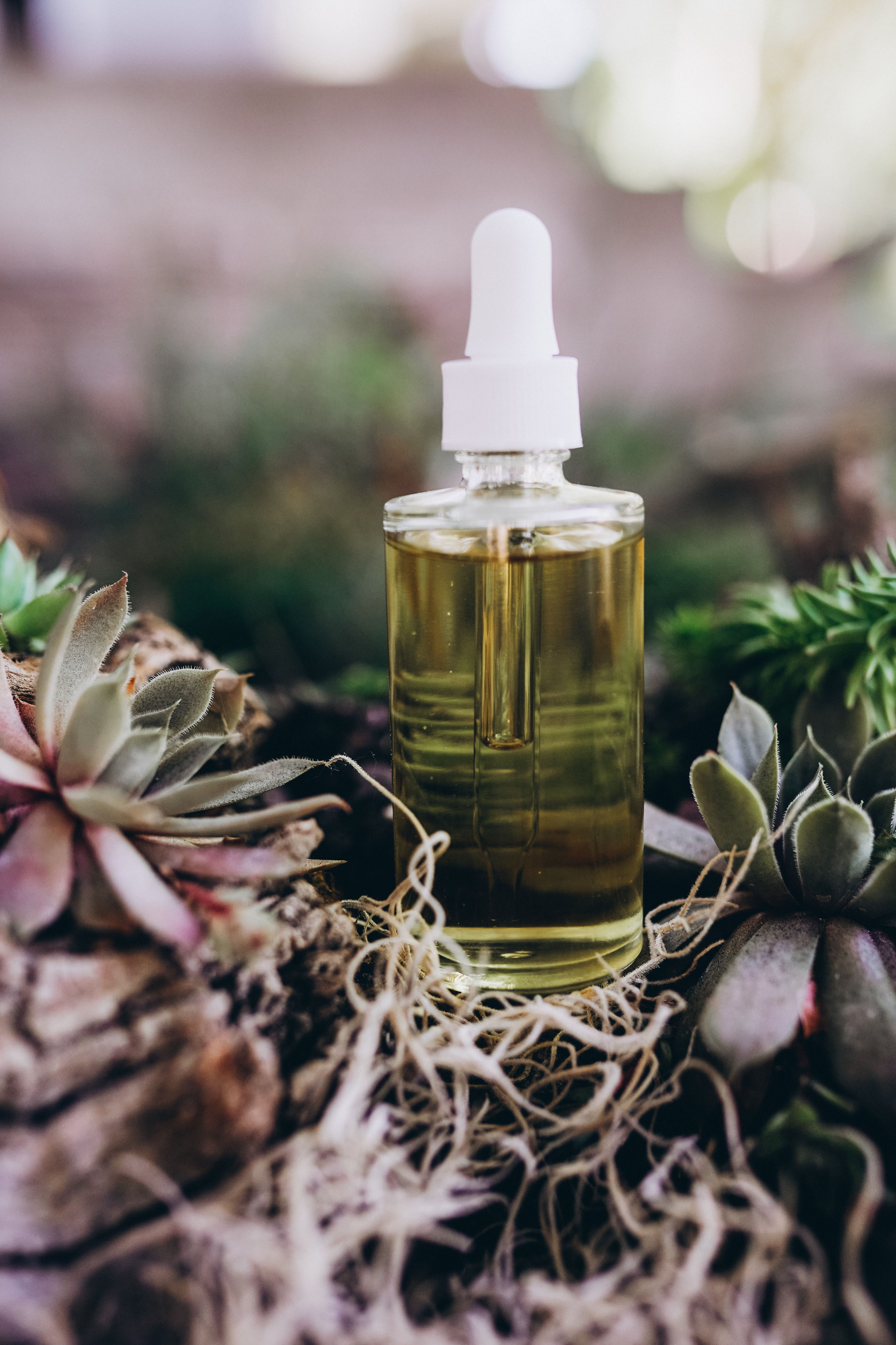 Sacred Frankincense Oil